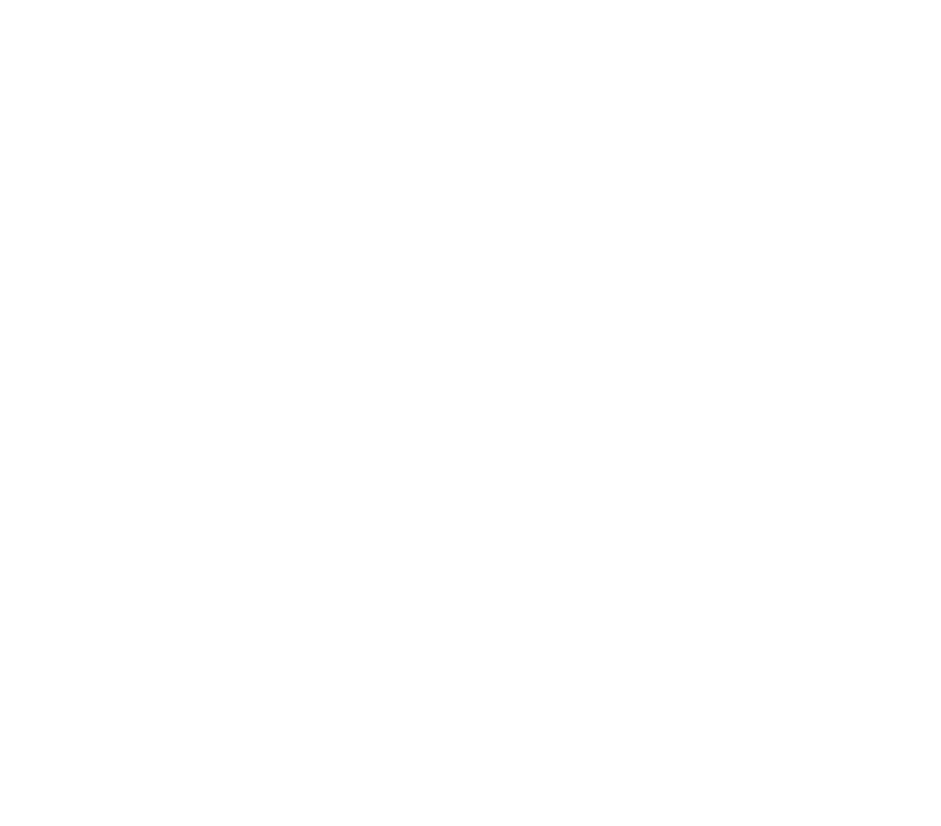 Watermark