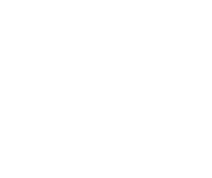 watermark